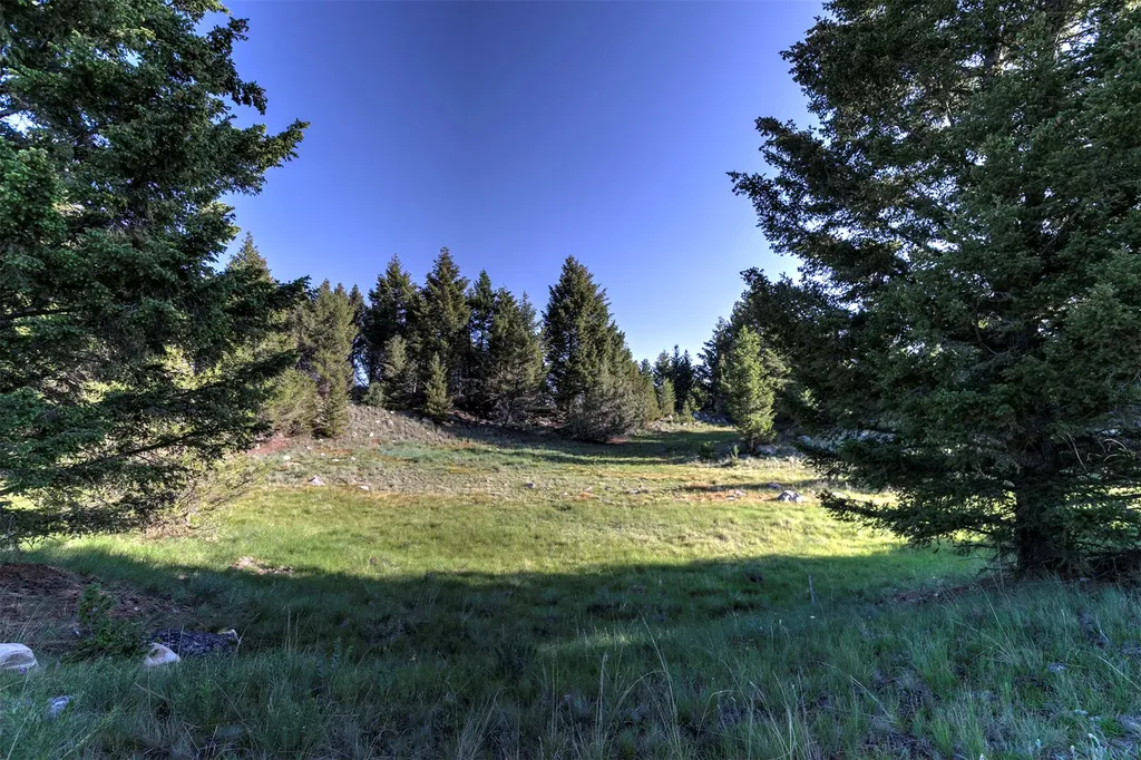 Nhn Lot 1 Phase 3a Dolus Lakes Road Deer Lodge MT 59722
