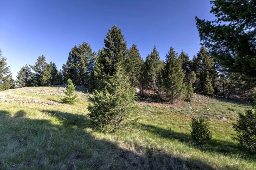Nhn Lot 1 Phase 3a Dolus Lakes Road Deer Lodge MT 59722