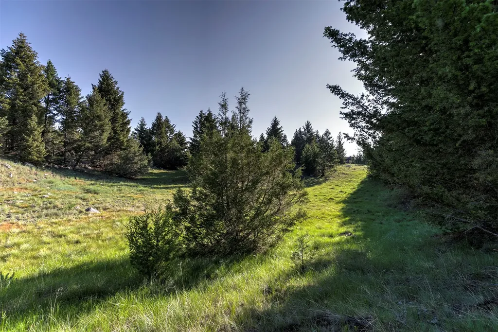 Nhn Lot 1 Phase 3a Dolus Lakes Road Deer Lodge MT 59722