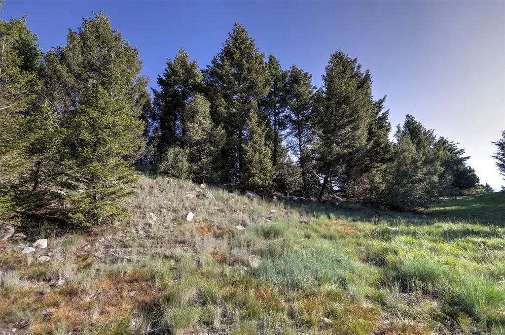 Nhn Lot 1 Phase 3a Dolus Lakes Road Deer Lodge MT 59722
