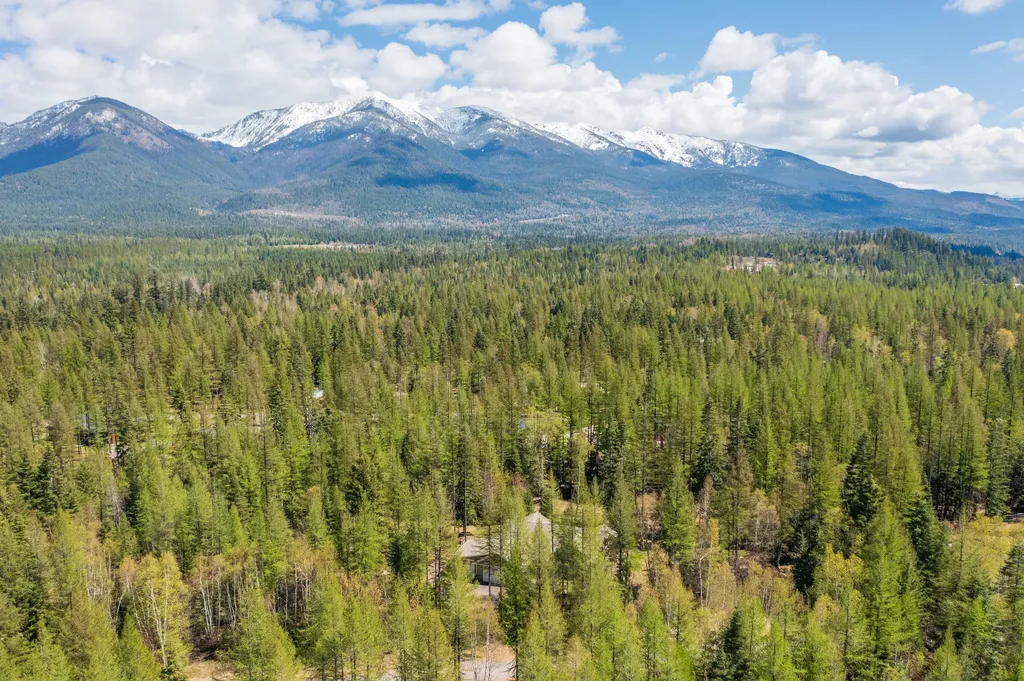 13831 Great Bear Loop Bigfork MT 59911