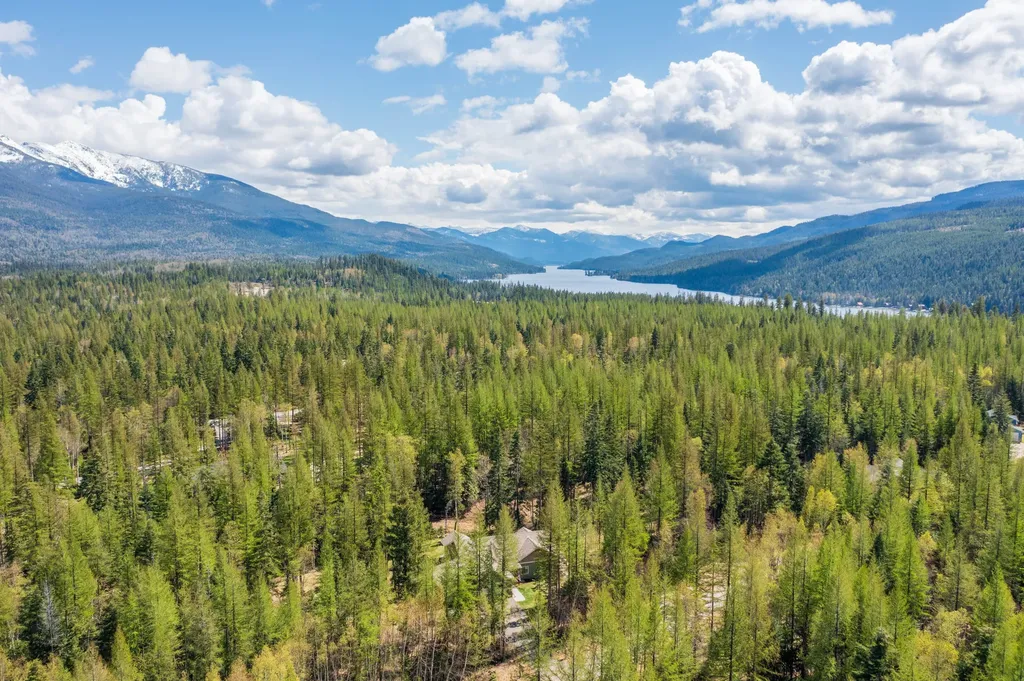 13831 Great Bear Loop Bigfork MT 59911