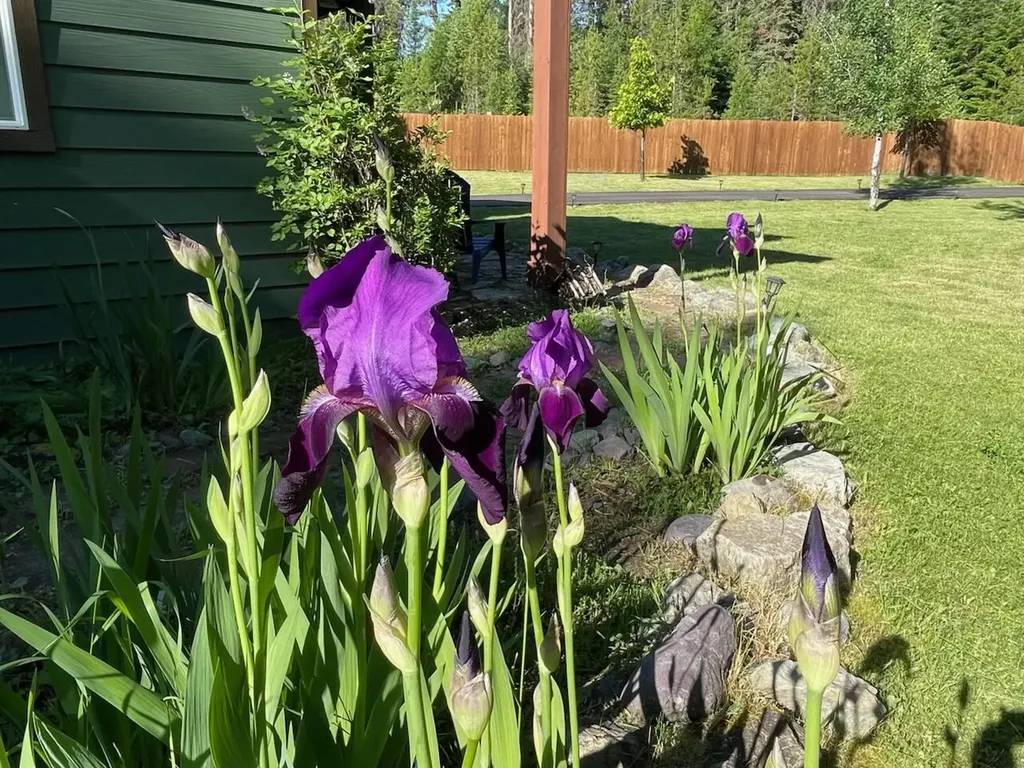 2075 Lion Mountain Loop Road Whitefish MT 59937