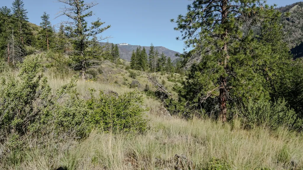 Tbd Highway 200 Paradise MT 59856
