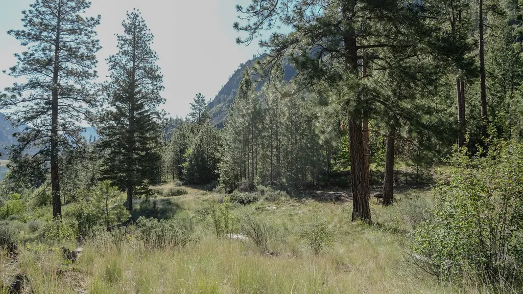 Tbd Highway 200 Paradise MT 59856