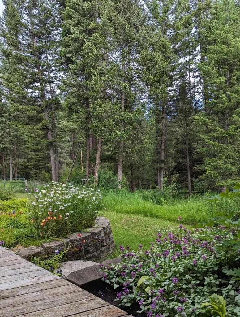 1022 Grizzly Mountain Road Missoula MT 59808