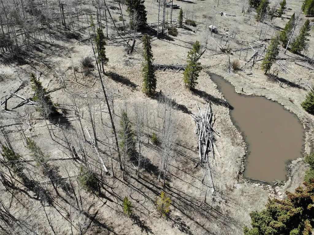 95 Little Moose Creek Trail White Sulphur Springs MT 59645