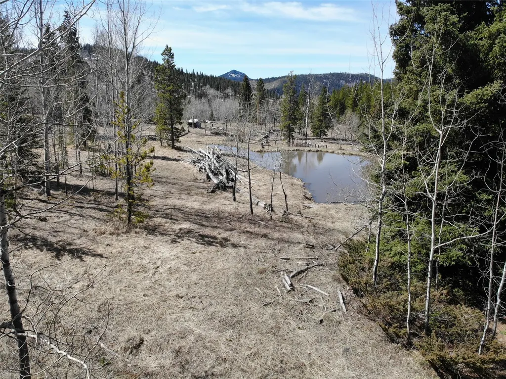 95 Little Moose Creek Trail White Sulphur Springs MT 59645