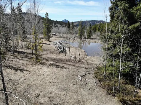 95 Little Moose Creek Trail White Sulphur Springs MT 59645