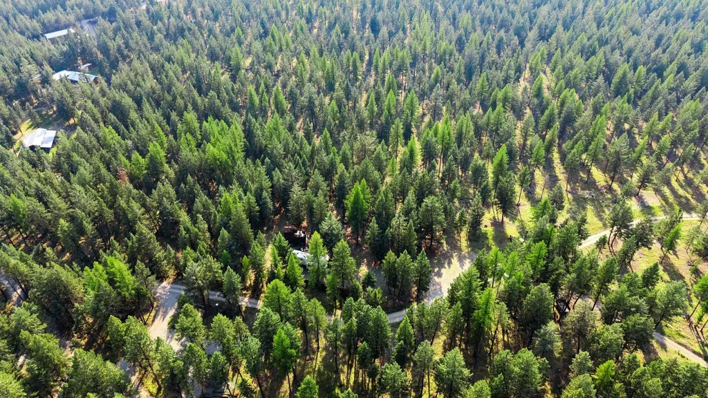 227 Elk Trail Eureka MT 59917