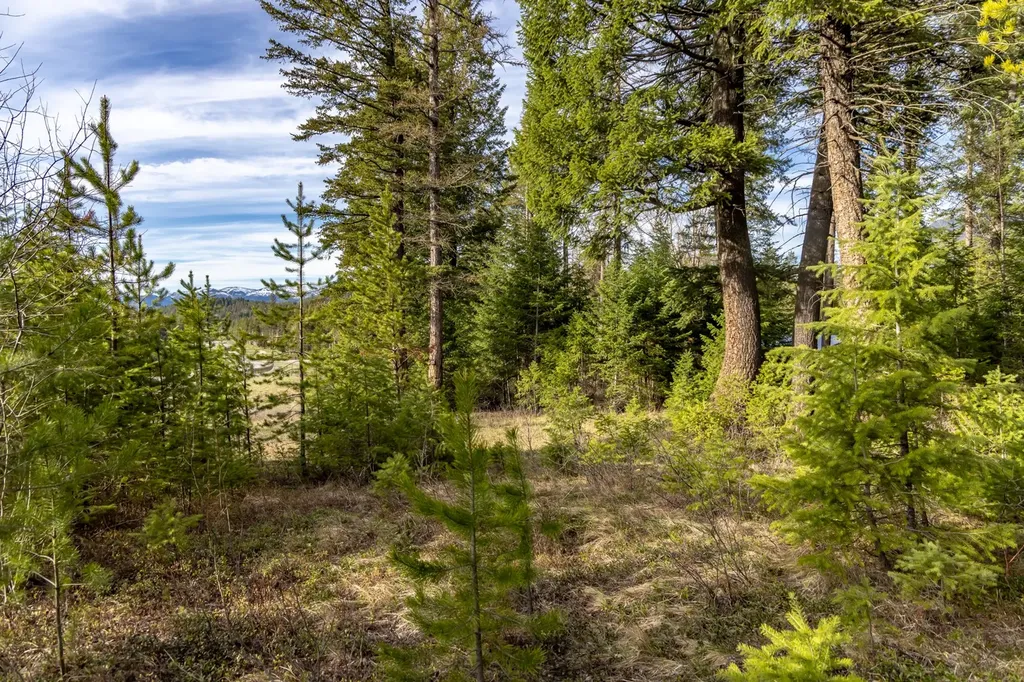 420 Old Highway 2 E Martin City MT 59926