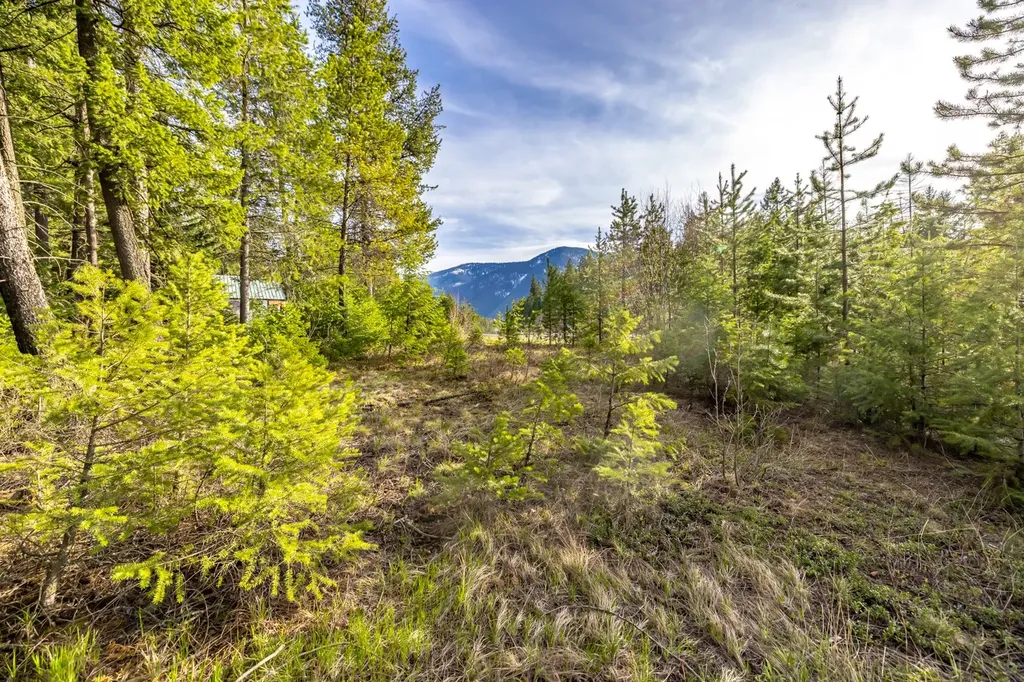420 Old Highway 2 E Martin City MT 59926