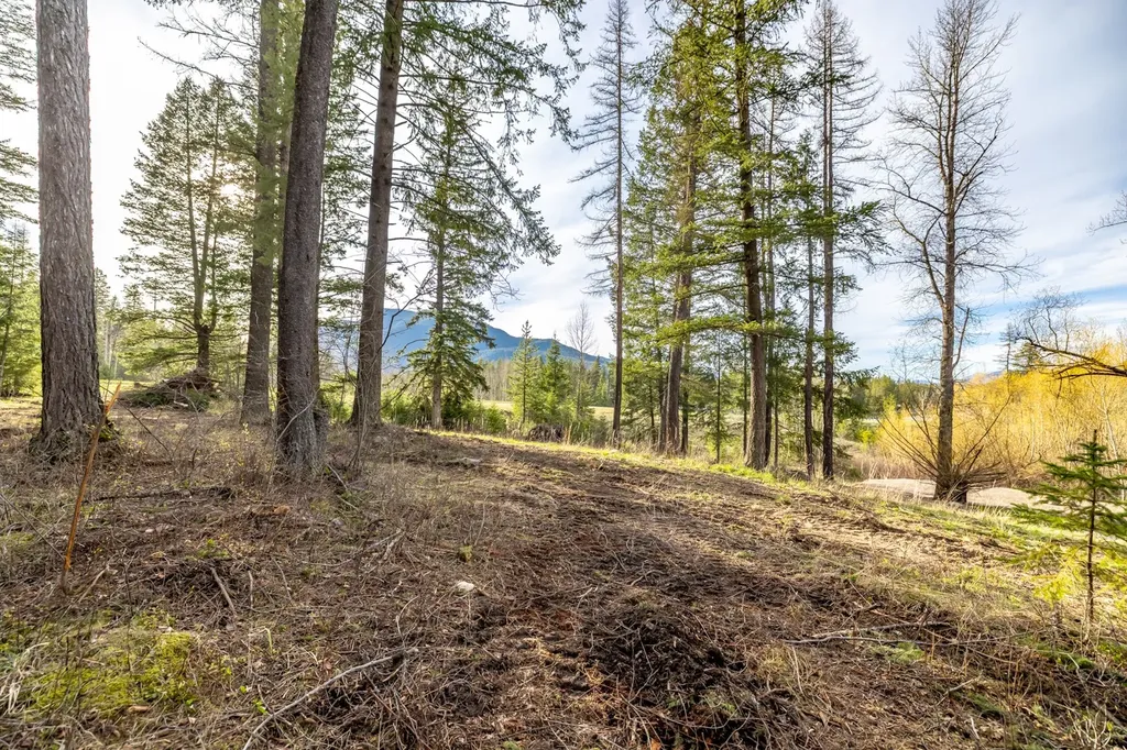 420 Old Highway 2 E Martin City MT 59926
