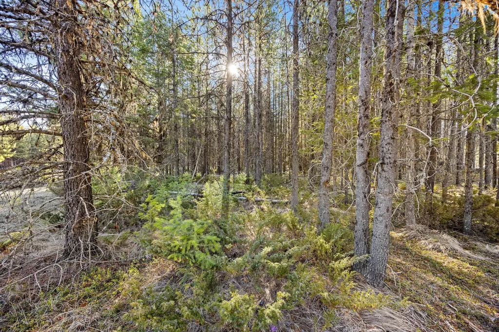 2175 Pleasant Valley Road Marion MT 59925