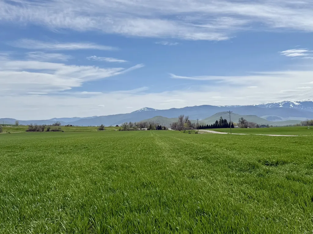 57894 Moiese Valley Road Charlo MT 59824