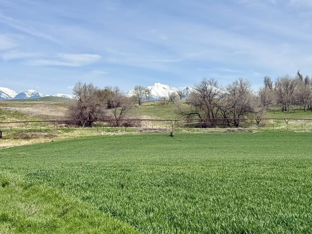 57894 Moiese Valley Road Charlo MT 59824
