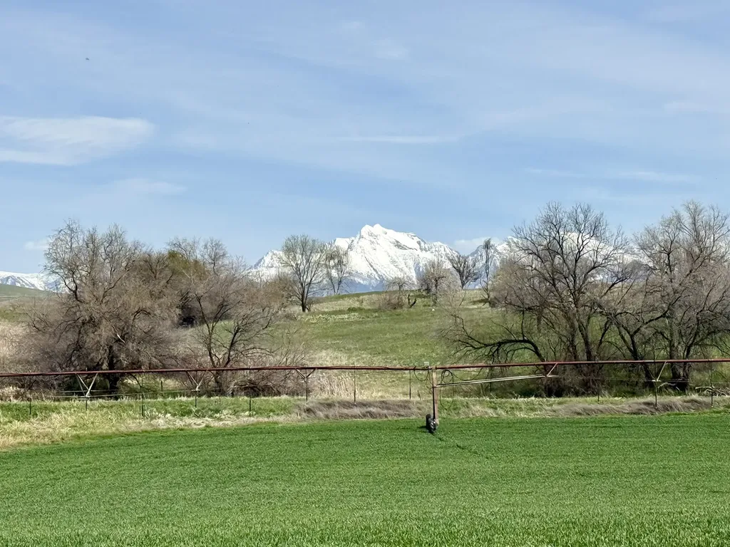 57894 Moiese Valley Road Charlo MT 59824