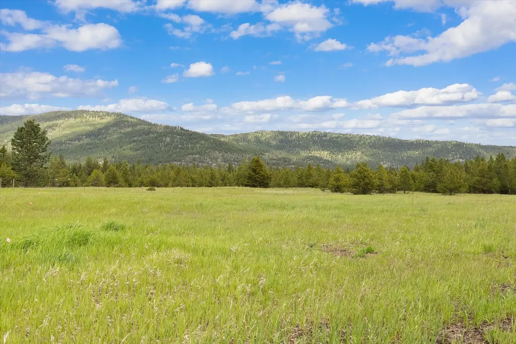 115 Marion Meadows Trail Marion MT 59925