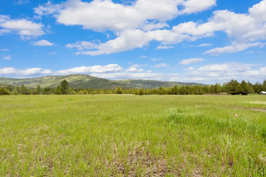 115 Marion Meadows Trail Marion MT 59925