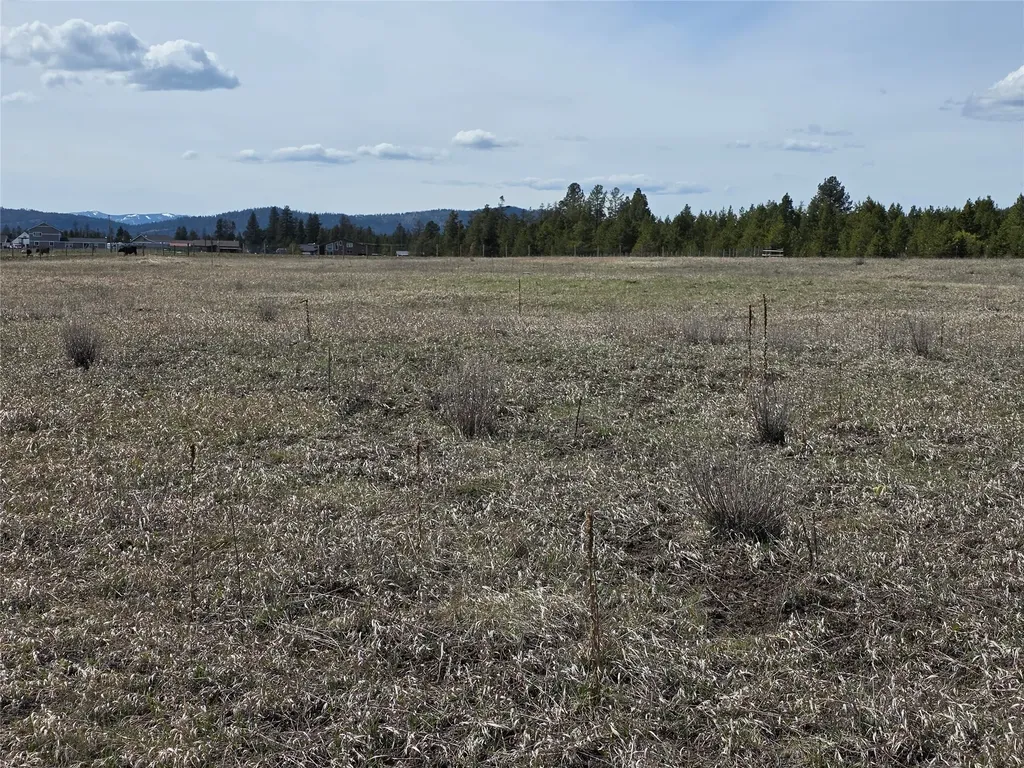 115 Marion Meadows Trail Marion MT 59925