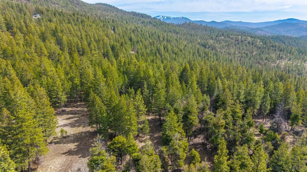 2520 Haywire Gulch Kalispell MT 59901
