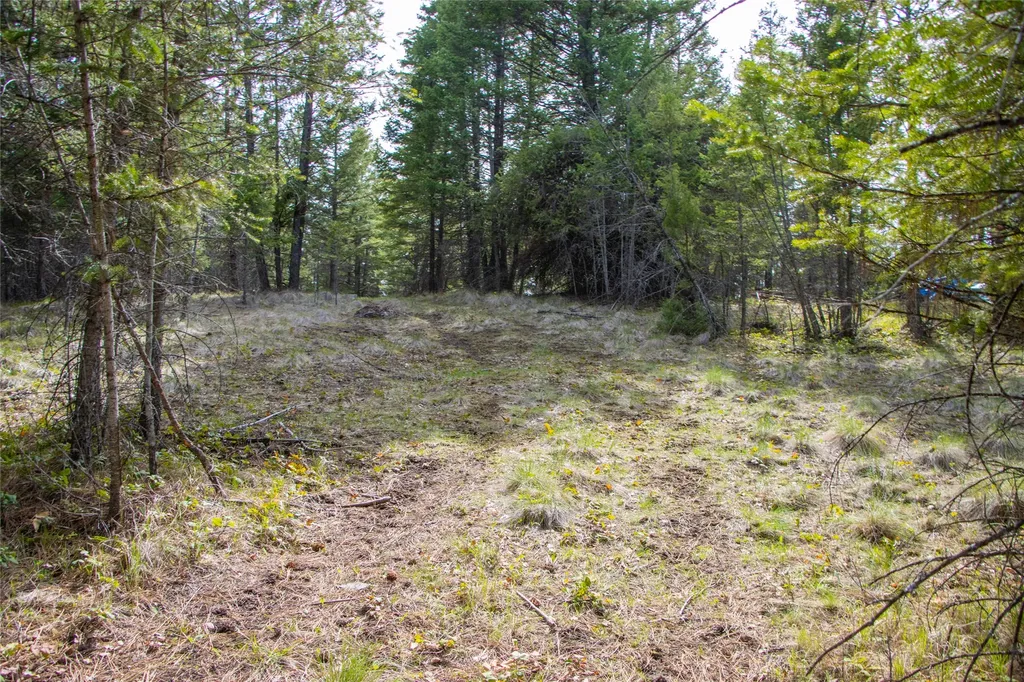 2520 Haywire Gulch Kalispell MT 59901