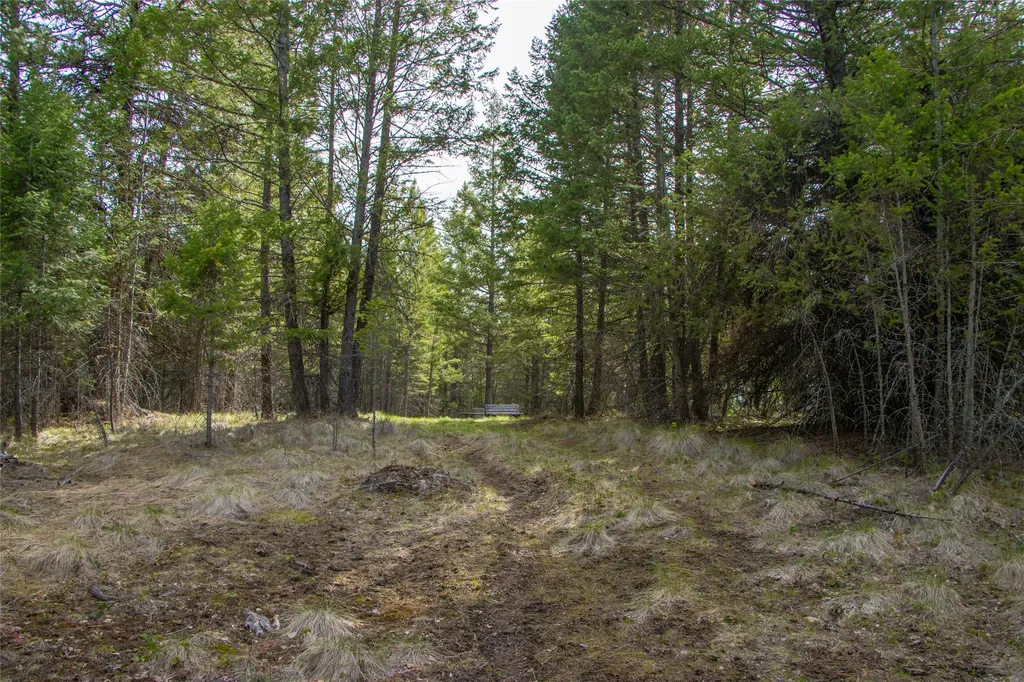 2520 Haywire Gulch Kalispell MT 59901