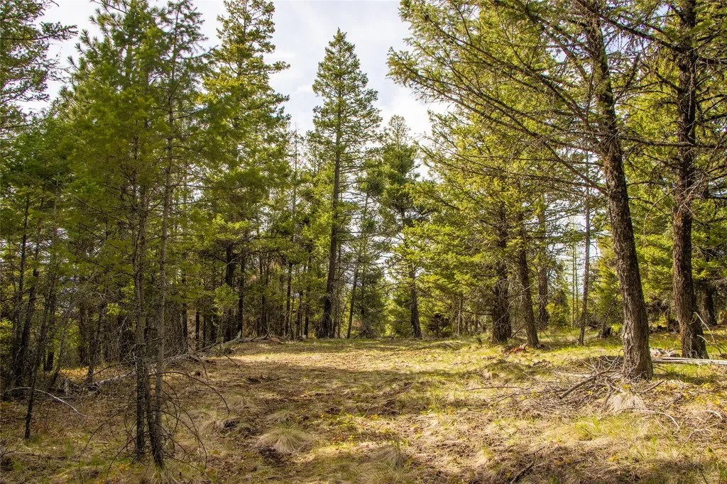 2520 Haywire Gulch Kalispell MT 59901