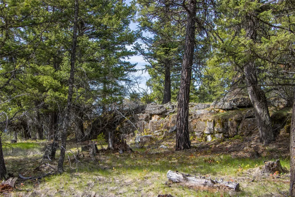 2520 Haywire Gulch Kalispell MT 59901