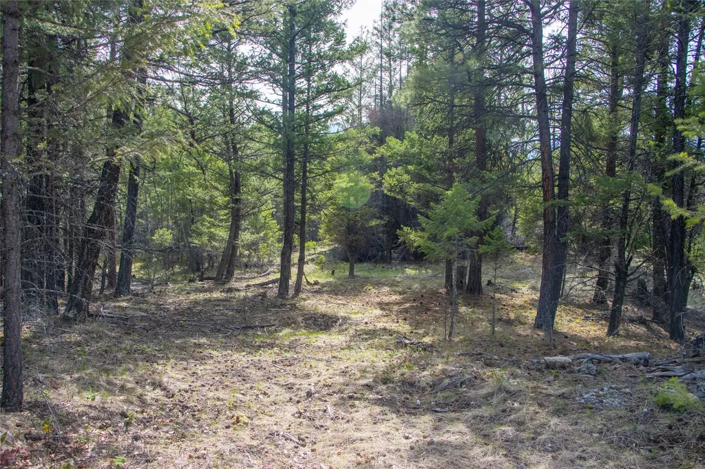 2520 Haywire Gulch Kalispell MT 59901