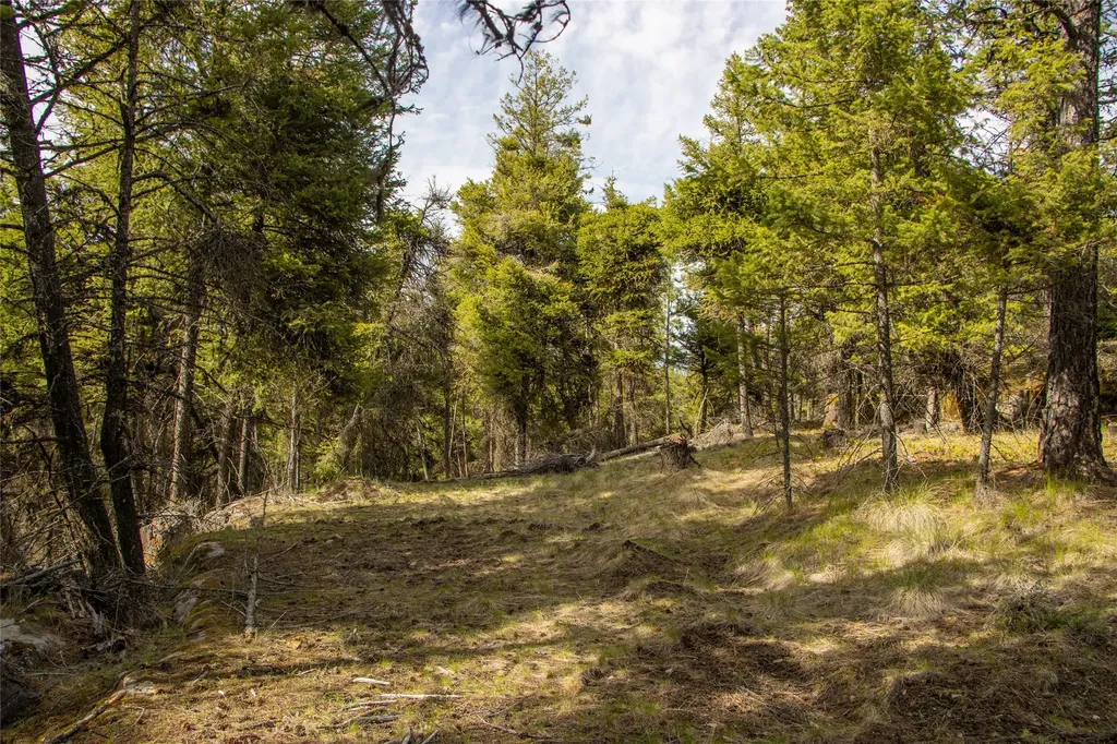 2520 Haywire Gulch Kalispell MT 59901