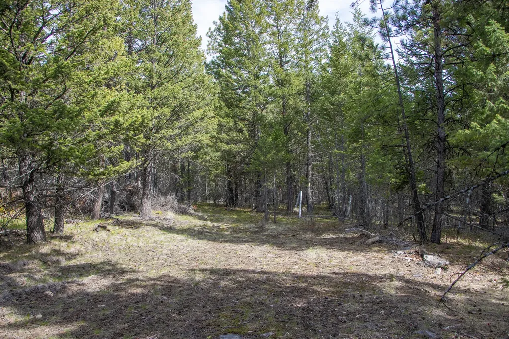 2520 Haywire Gulch Kalispell MT 59901