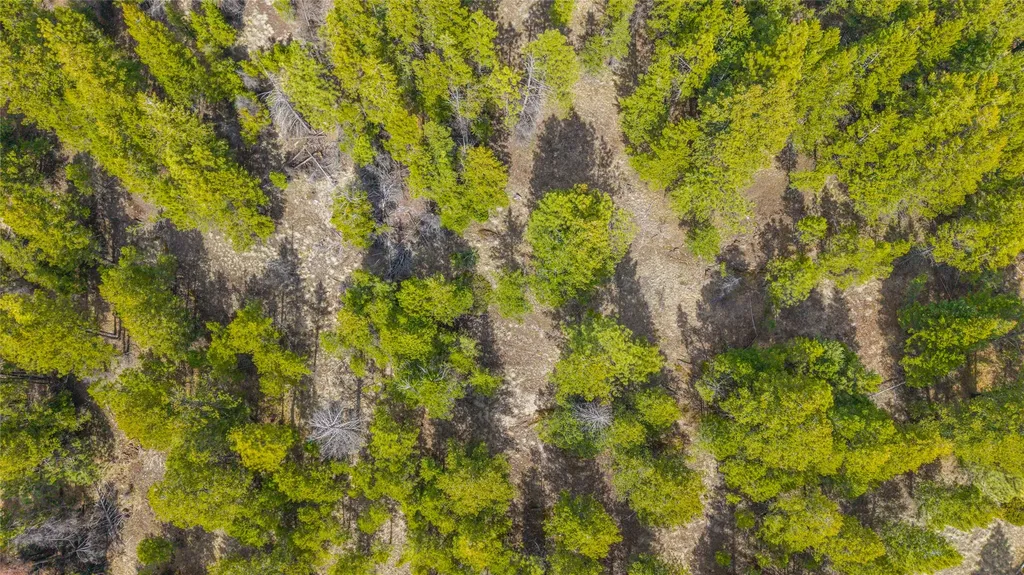 2520 Haywire Gulch Kalispell MT 59901