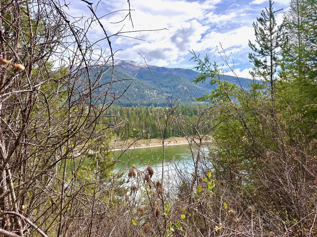 4 Buck Court Trout Creek MT 59874