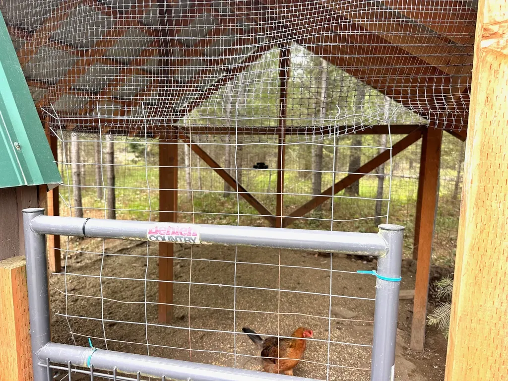 4 Buck Court Trout Creek MT 59874
