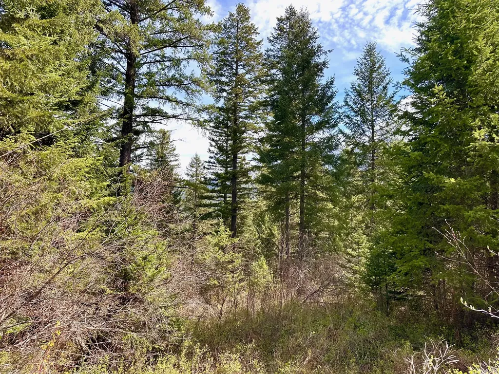 4 Buck Court Trout Creek MT 59874