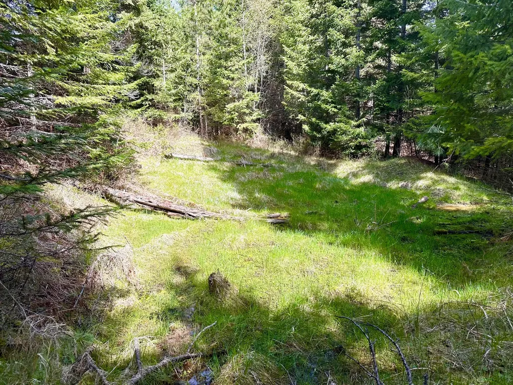 4 Buck Court Trout Creek MT 59874
