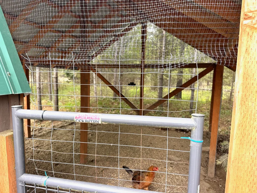 4 Buck Court Trout Creek MT 59874