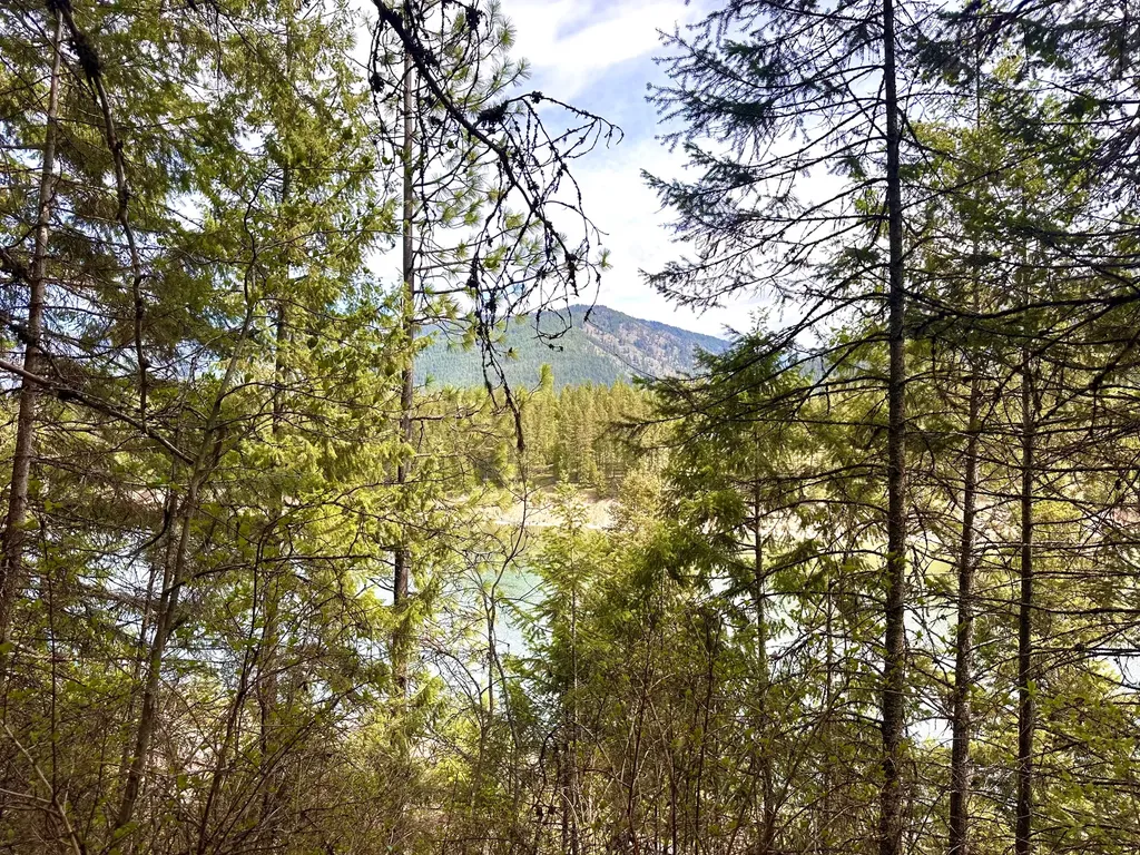 4 Buck Court Trout Creek MT 59874