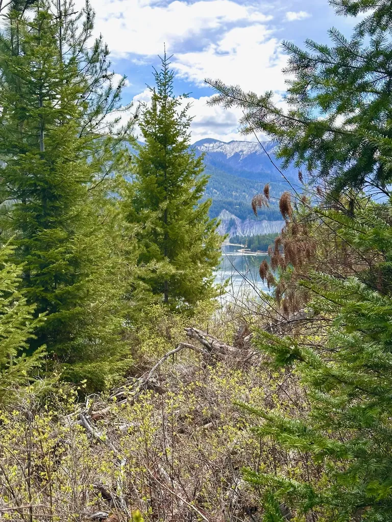 4 Buck Court Trout Creek MT 59874