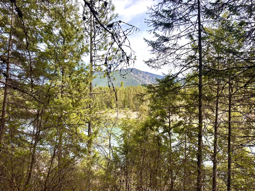 4 Buck Court Trout Creek MT 59874