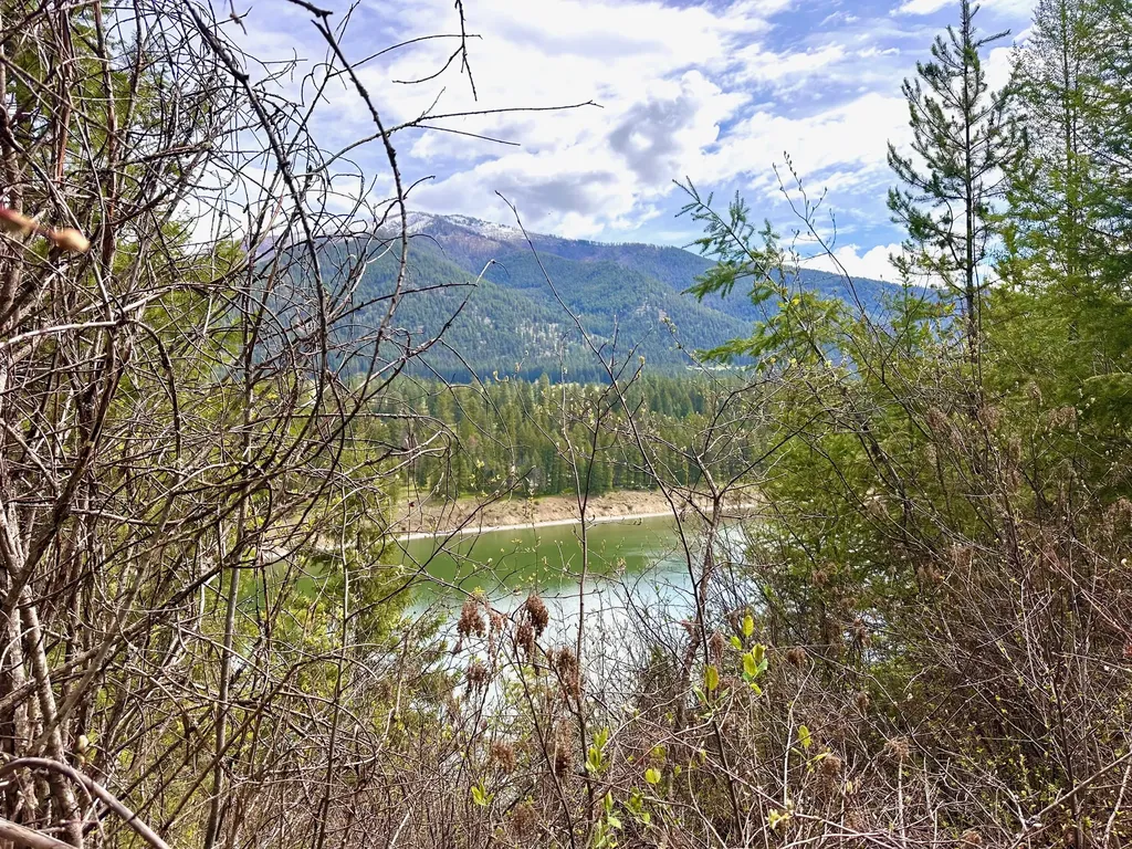 4 Buck Court Trout Creek MT 59874