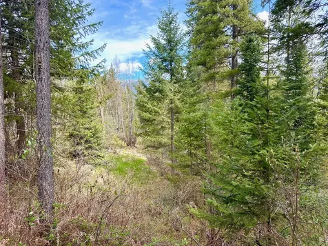 4 Buck Court Trout Creek MT 59874