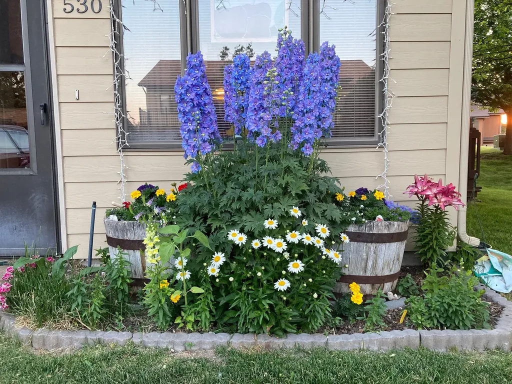 530 Coventry Court Helena MT 59601