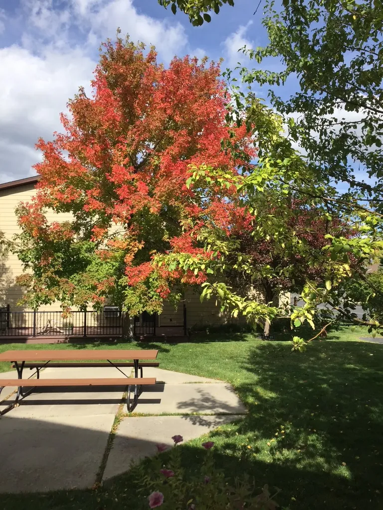 530 Coventry Court Helena MT 59601