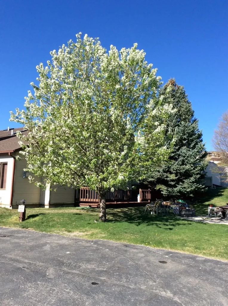 530 Coventry Court Helena MT 59601