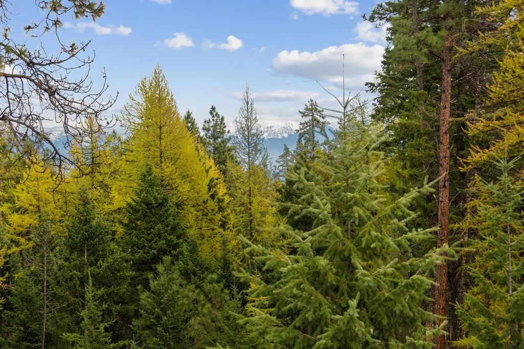 465 Deer Creek Road Lakeside MT 59922