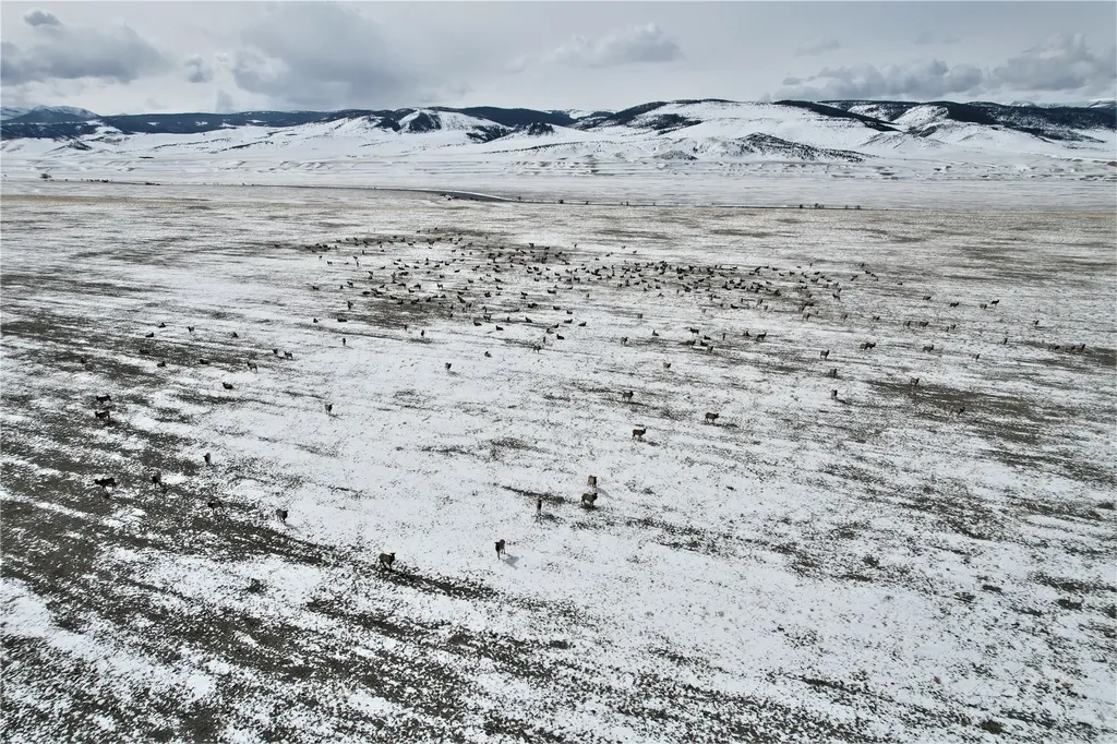 Tract C1 Highway 287 Cameron MT 59720