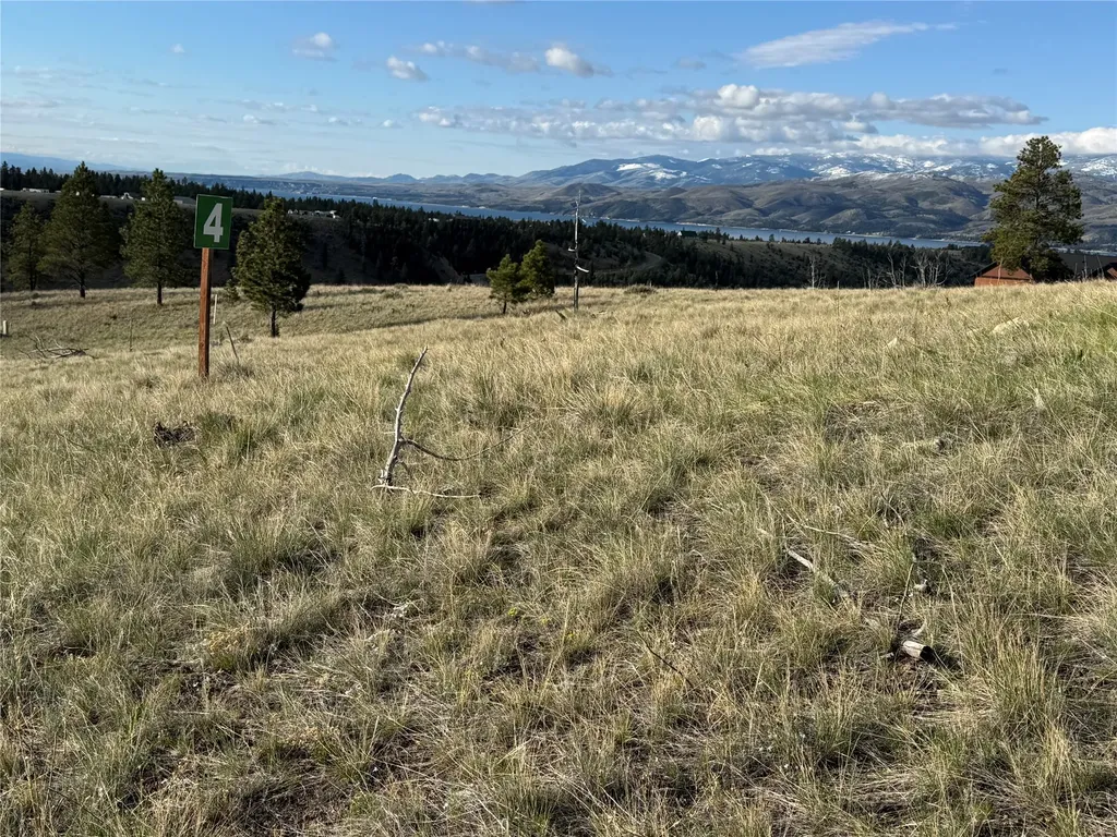 8565 Eagle View Road Helena MT 59602