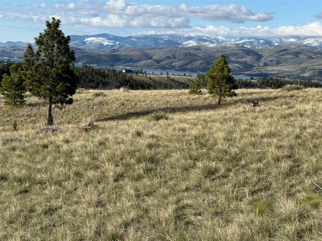 8565 Eagle View Road Helena MT 59602